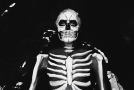The Maine Release New Song