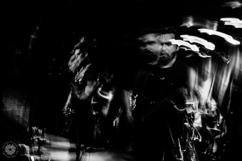 Seahaven – Gardens – Commonweather // Chicago 7.17.2016