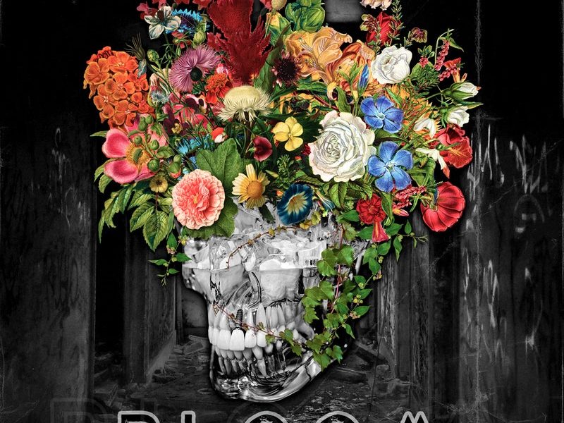 ALBUM REVIEW: Bloom, by Cold Hvnds – A Love Letter to Mid-2000s-2010s Post-Hardcore